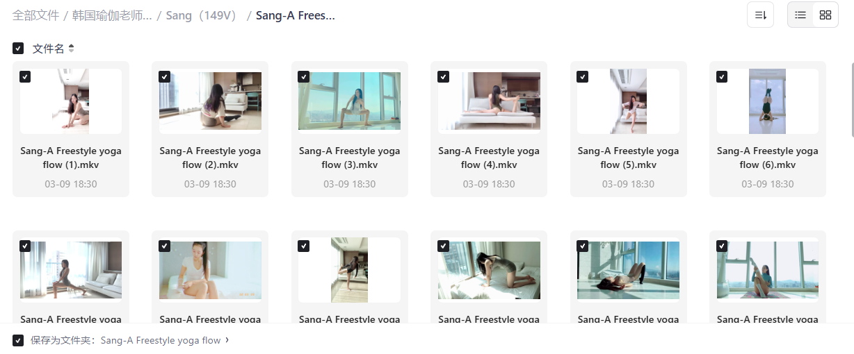 课程资源 瑜伽韩国 美女老师高清视频课程合集【122.6GB】|福利之家